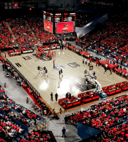 Perth-Wildcats-Perth-Arena
